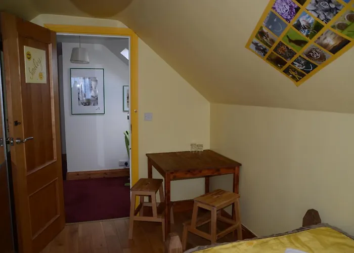 The Lookout 게스트하우스