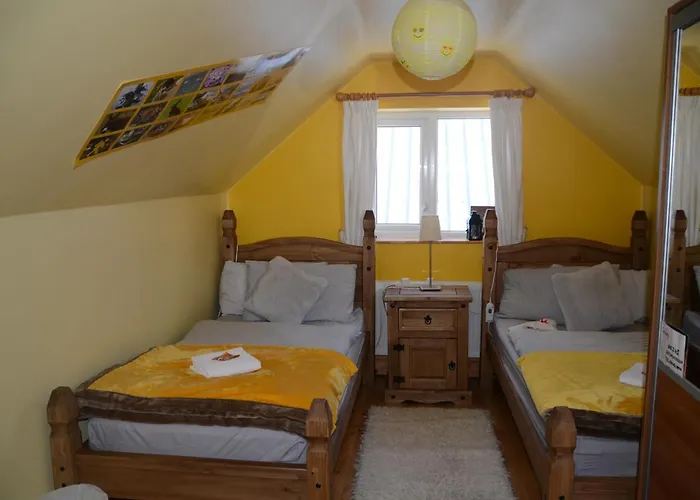 The Lookout 奥达拉